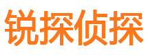 林甸市私家侦探